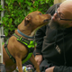 Image for article titled Screw it, let’s watch sweet dogs get adopted until our hearts explode